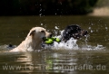 10 Wasseraction
